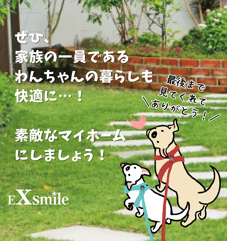 https://www.exsmile.jp/cmb/17a60773bf726532c826b36aea7f238f172e0e56.png