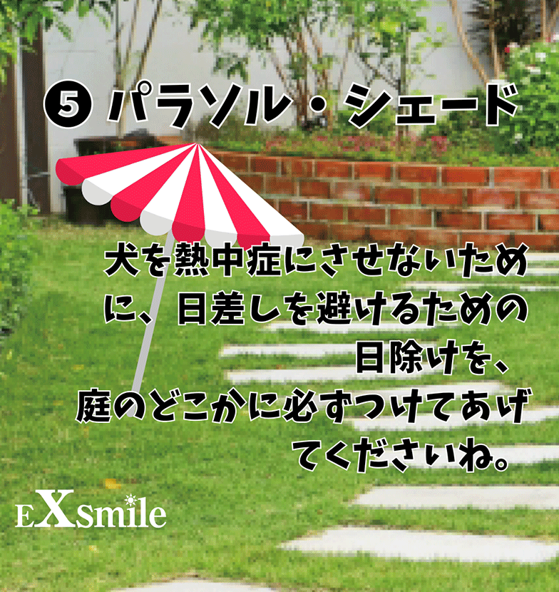 https://www.exsmile.jp/cmb/87b71bcdde76fecf64165a08098902eb8e34bdf6.png